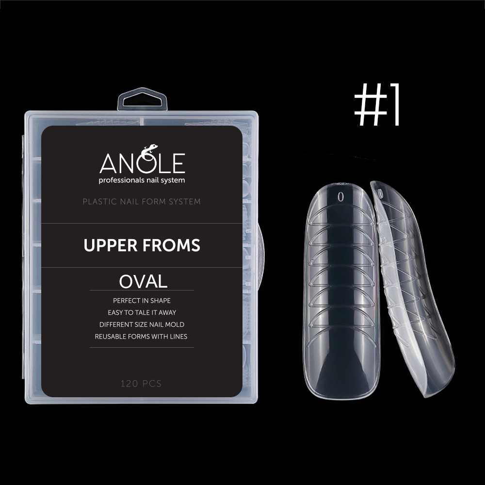 Anole upper forms oval 1